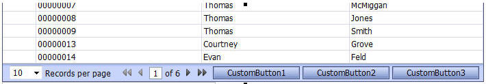Customized Grid Toolbar